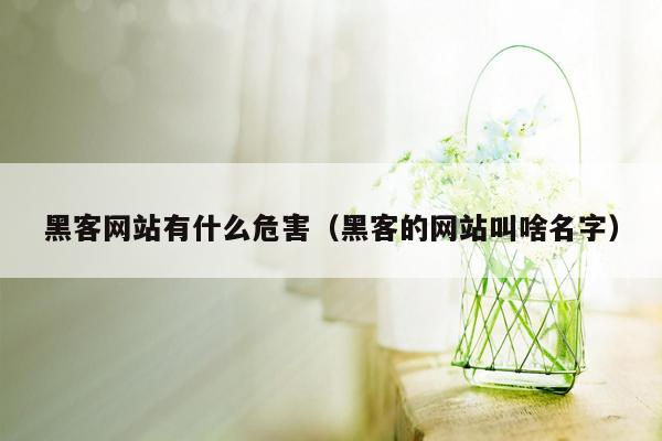 黑客网站有什么危害（黑客的网站叫啥名字）