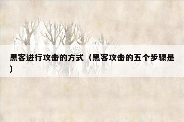 黑客进行攻击的方式（黑客攻击的五个步骤是）