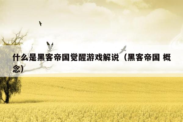 什么是黑客帝国觉醒游戏解说（黑客帝国 概念）
