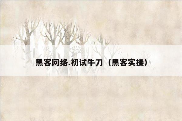 黑客网络.初试牛刀（黑客实操）