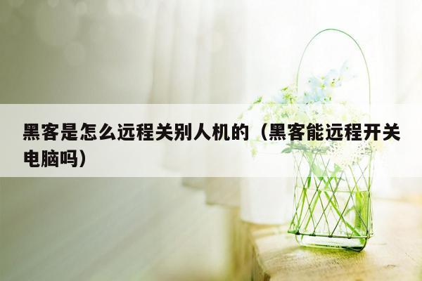 黑客是怎么远程关别人机的（黑客能远程开关电脑吗）