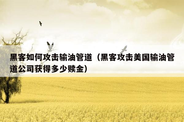 黑客如何攻击输油管道（黑客攻击美国输油管道公司获得多少赎金）