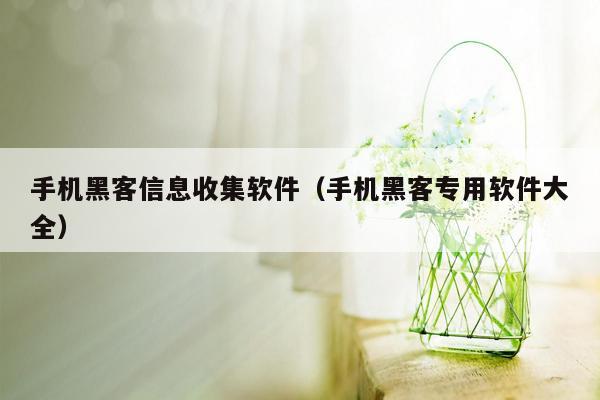 手机黑客信息收集软件（手机黑客专用软件大全）