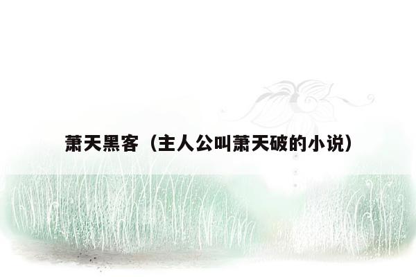 萧天黑客（主人公叫萧天破的小说）