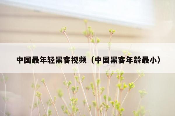 中国最年轻黑客视频（中国黑客年龄最小）