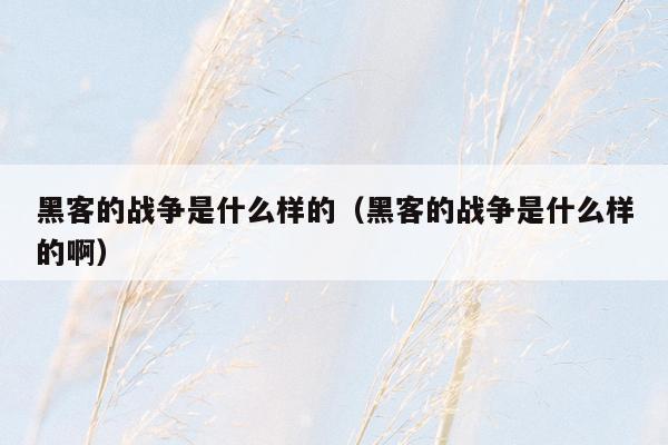 黑客的战争是什么样的（黑客的战争是什么样的啊）