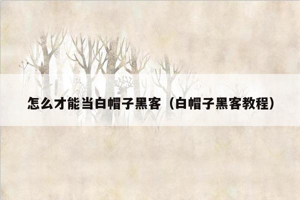 怎么才能当白帽子黑客（白帽子黑客教程）