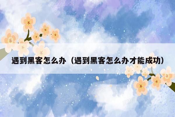 遇到黑客怎么办（遇到黑客怎么办才能成功）