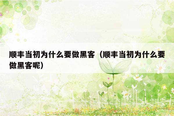 顺丰当初为什么要做黑客（顺丰当初为什么要做黑客呢）