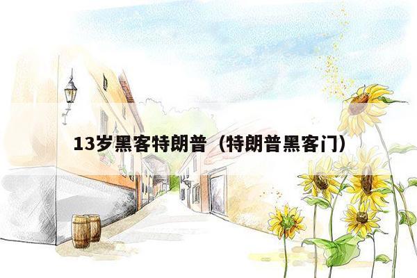 13岁黑客特朗普（特朗普黑客门）