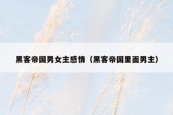 黑客帝国男女主感情（黑客帝国里面男主）