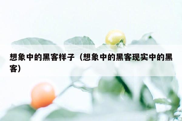 想象中的黑客样子（想象中的黑客现实中的黑客）