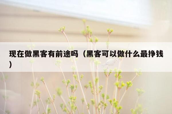 现在做黑客有前途吗（黑客可以做什么最挣钱）